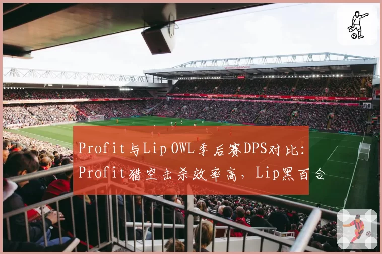 Profit与Lip OWL季后赛DPS对比:Profit猎空击杀效率高,Lip黑百合命中率48%