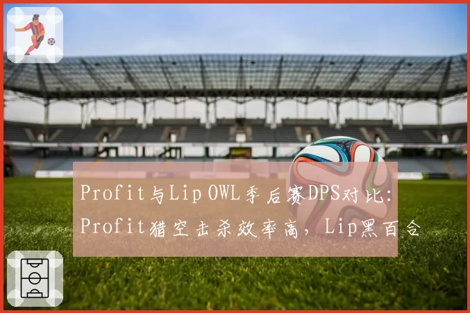 Profit与Lip OWL季后赛DPS对比：Profit猎空击杀效率高，Lip黑百合命中率48%